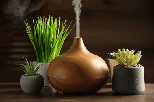 Serenity and the Scent of Home