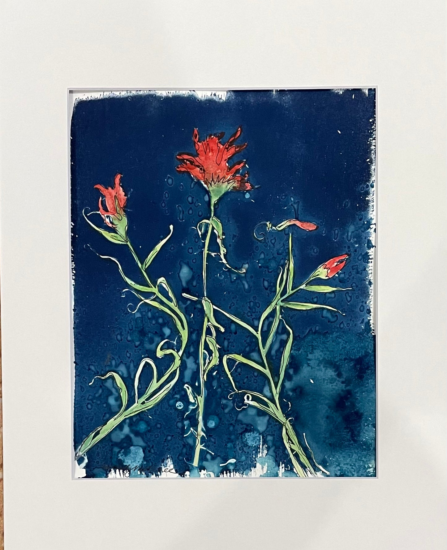 India Paintbrush