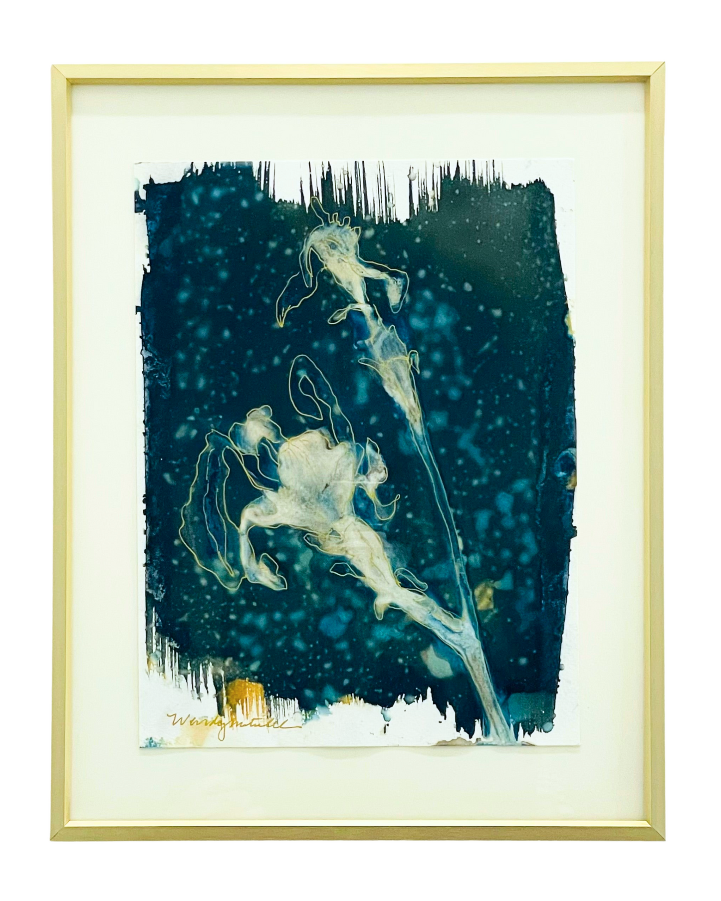 Abstract Iris