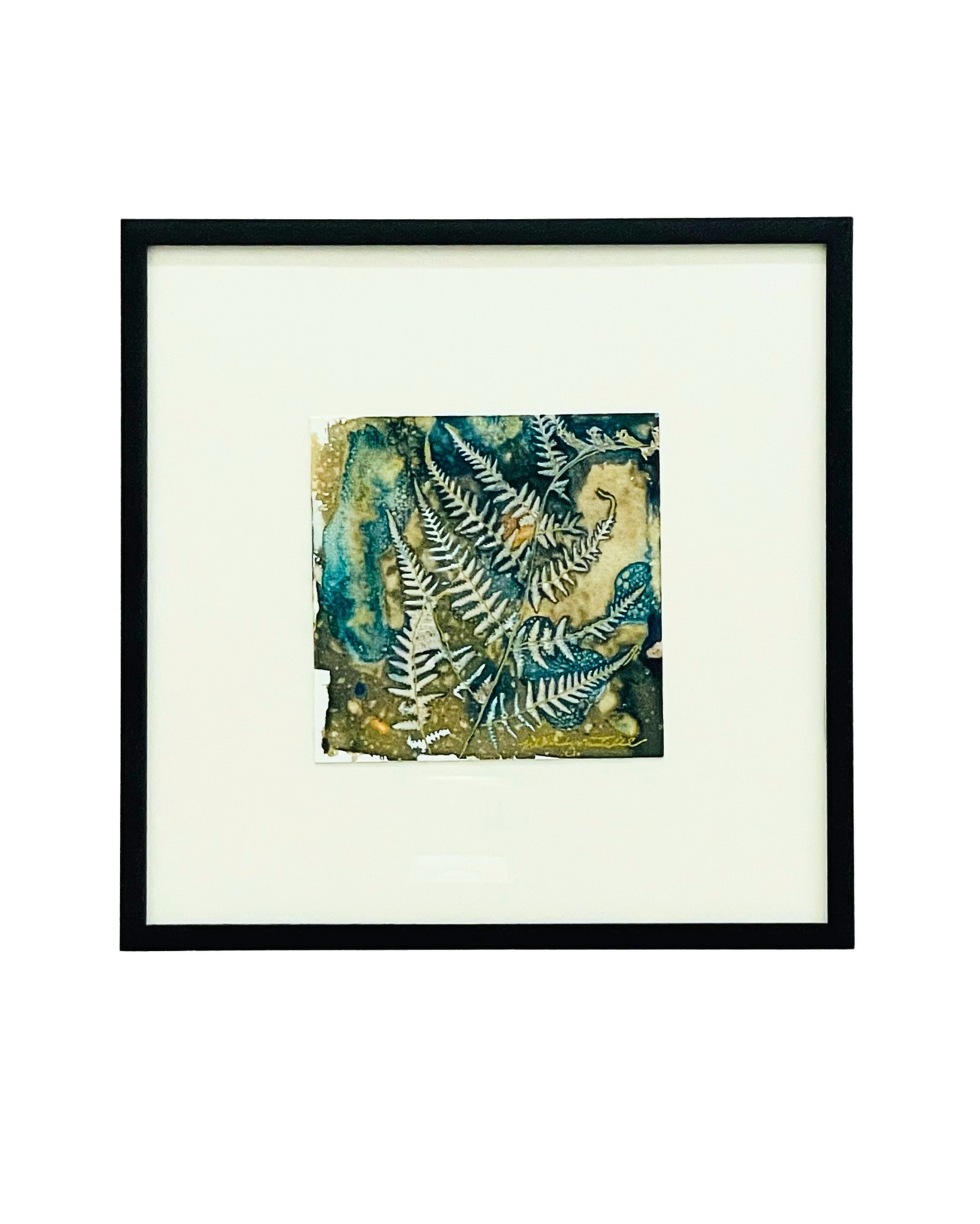 Fragile Fronds