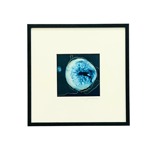 Original cynotype with gold pen
Wendy Mitchell Art
Salida, CO