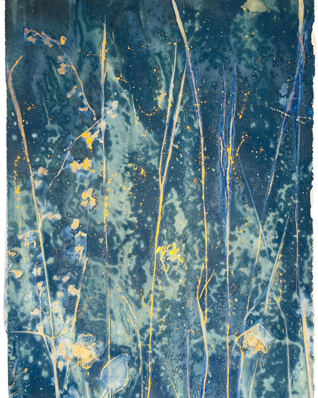 Framed mixed media diptych cyanotype botanical. Wendy Mitchell Art, Salida CO