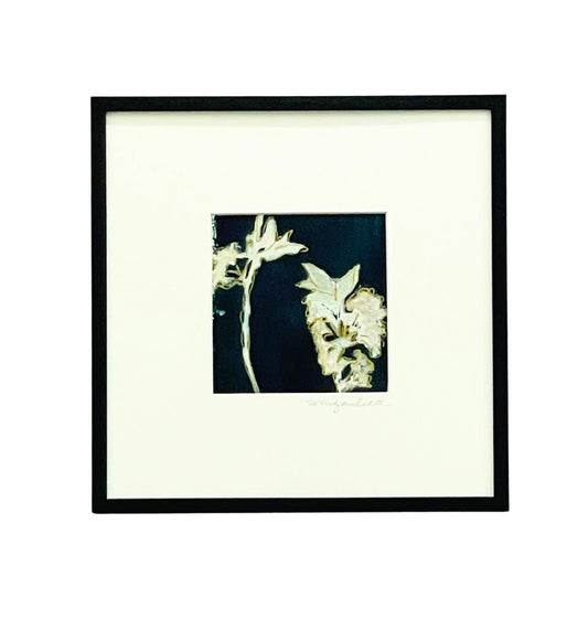 Framed mixed media cyanotype botanical. Wendy Mitchell Art, Salida CO