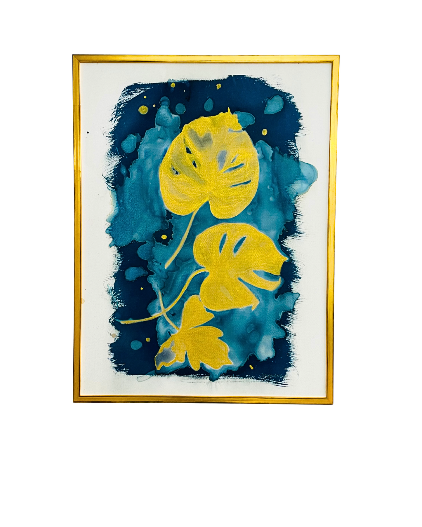 Framed mixed media cyanotype botanical. Wendy Mitchell Art, Salida CO