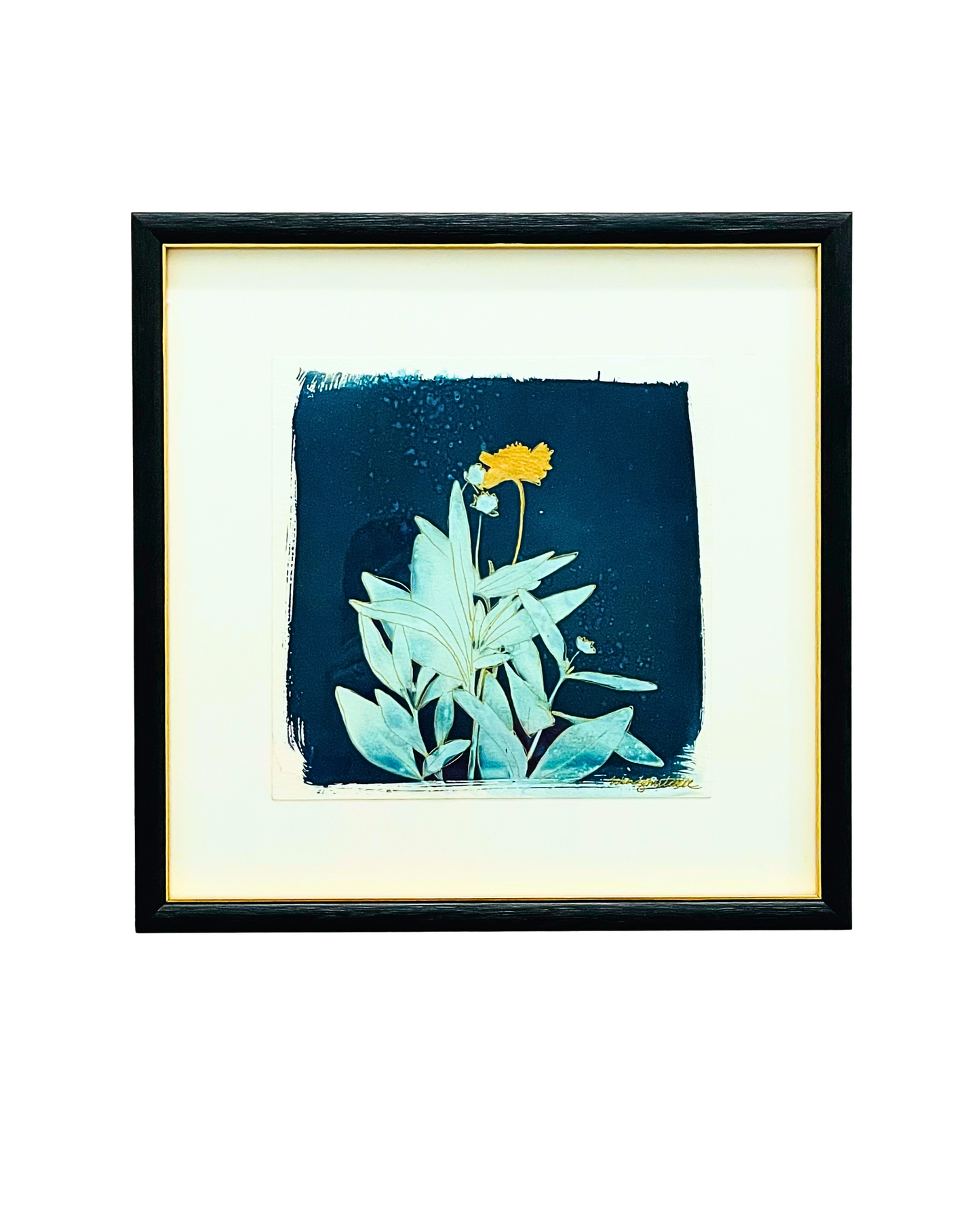 Wildflower Light