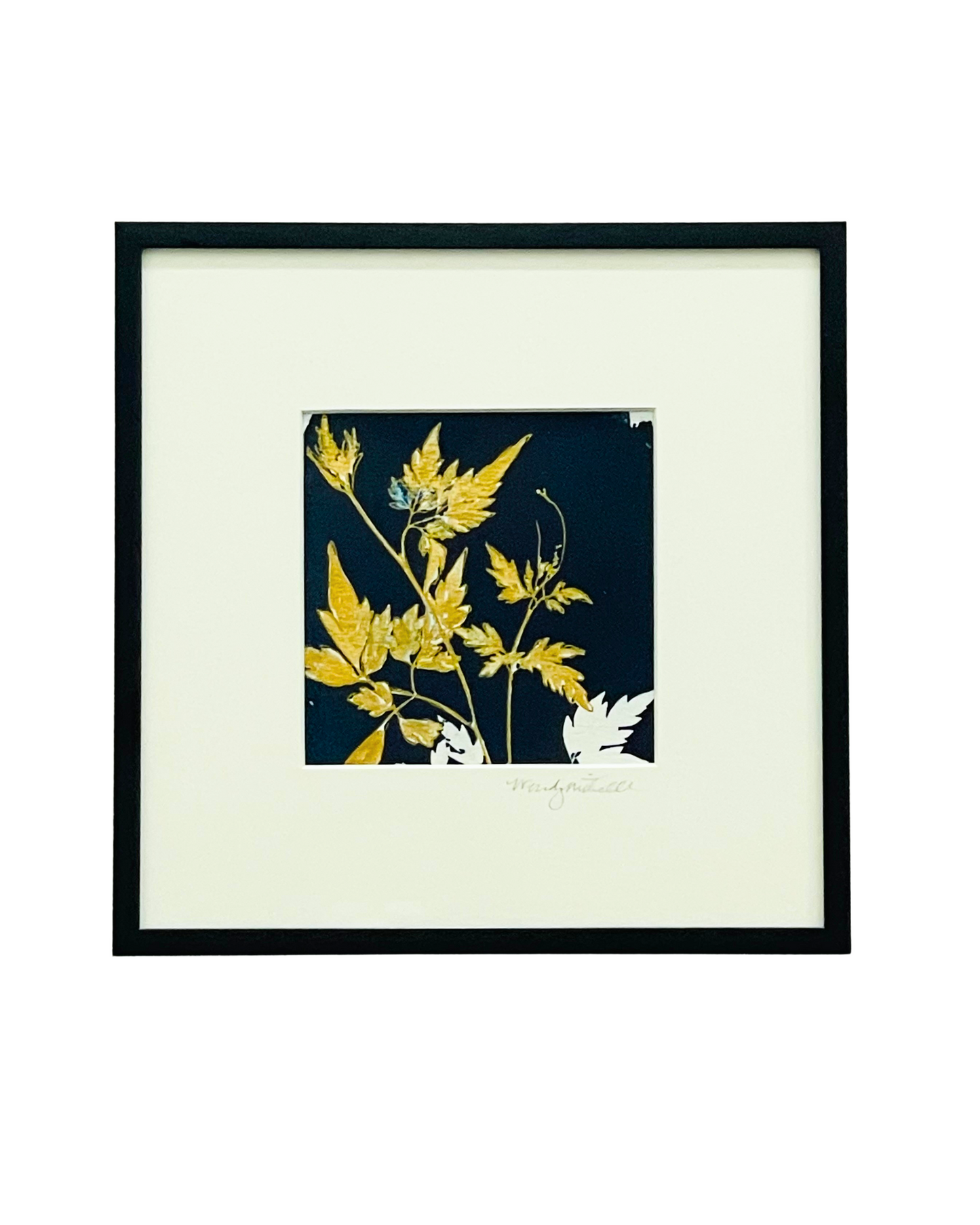 Framed mixed media cyanotype botanical. Wendy Mitchell Art, Salida CO