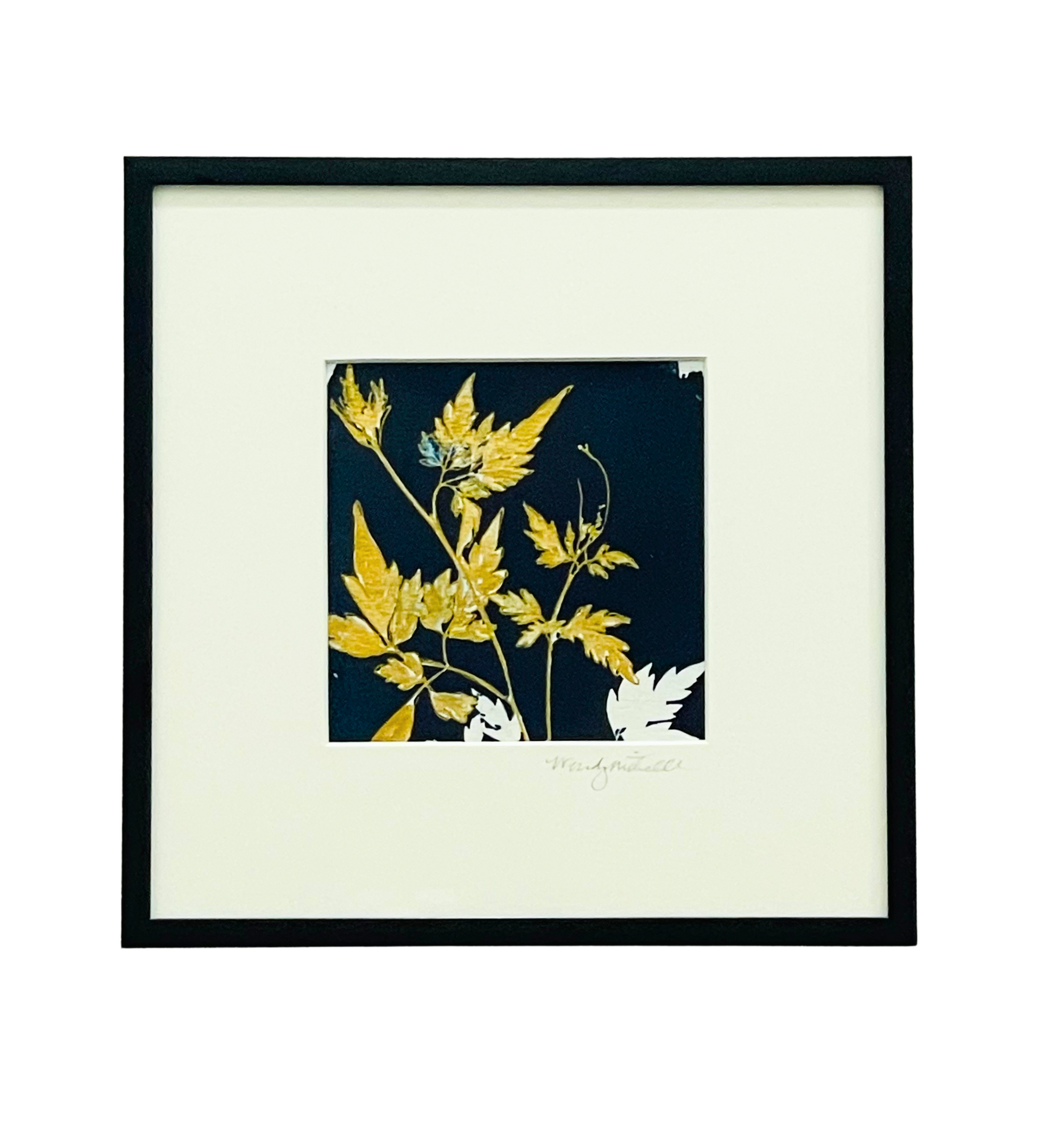 Framed mixed media cyanotype botanical. Wendy Mitchell Art, Salida CO