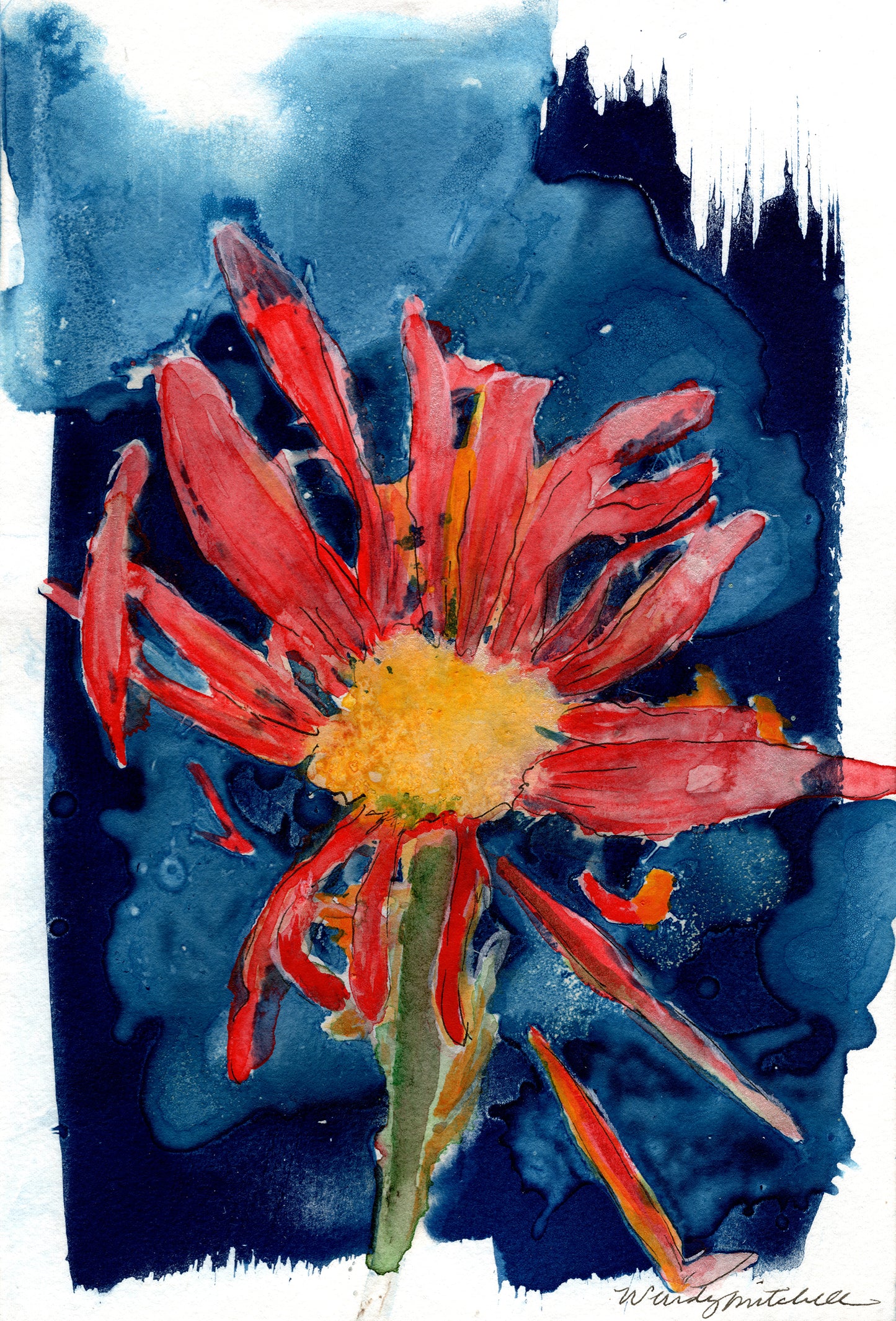 Red Daisy Art Print