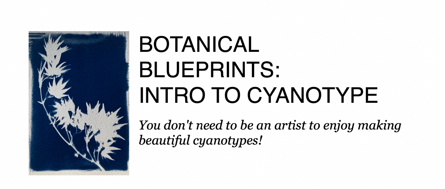 Intro to Cyanotypes - April 4th-Events-Wendy Mitchell Art-Wendy Mitchell Art - Salida, Colorado