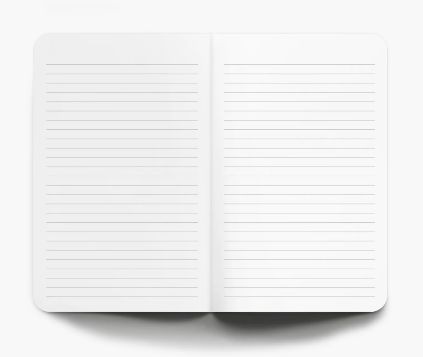 Beauty Begins Notebook