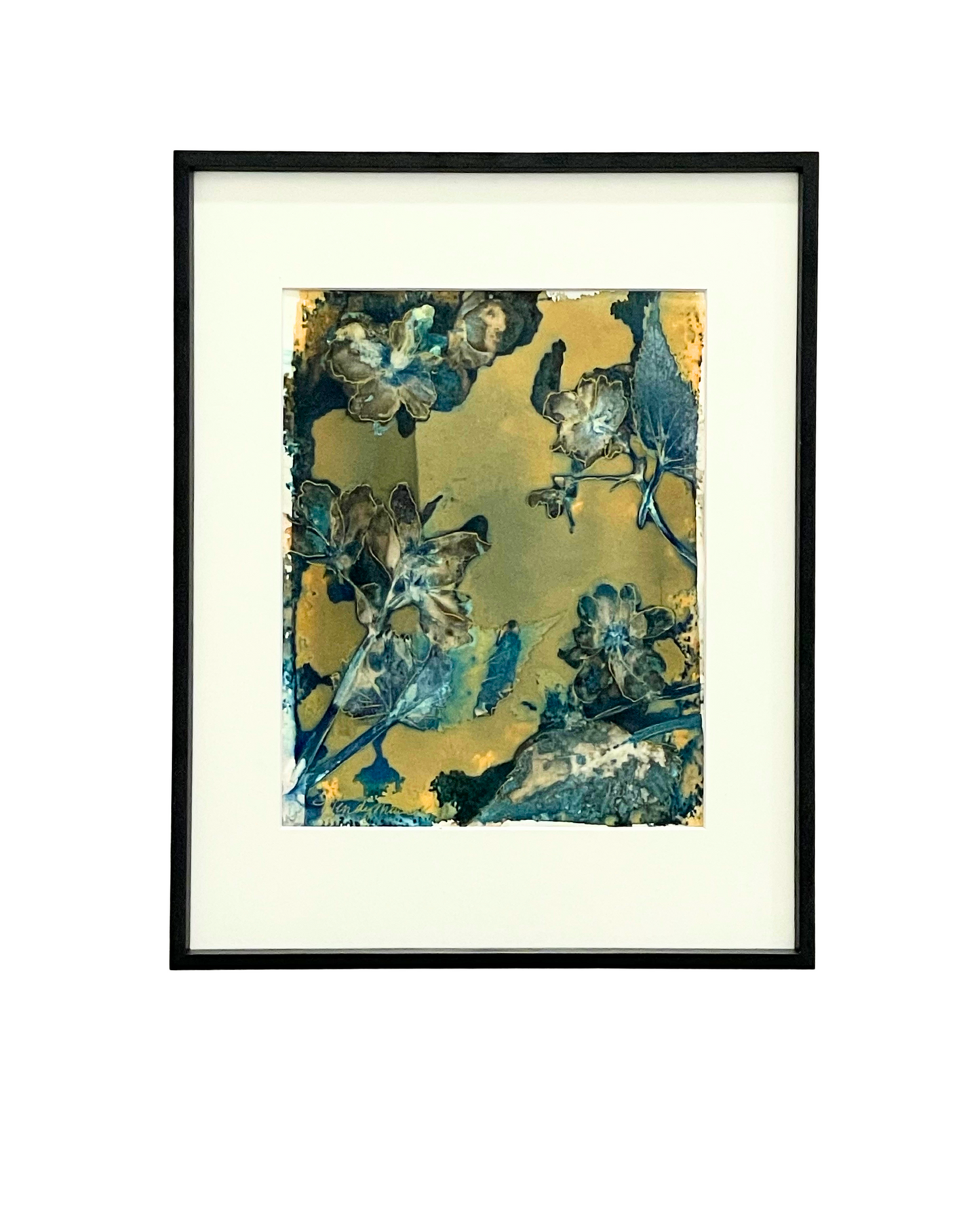 Framed mixed media cyanotype botanical. Wendy Mitchell Art, Salida CO