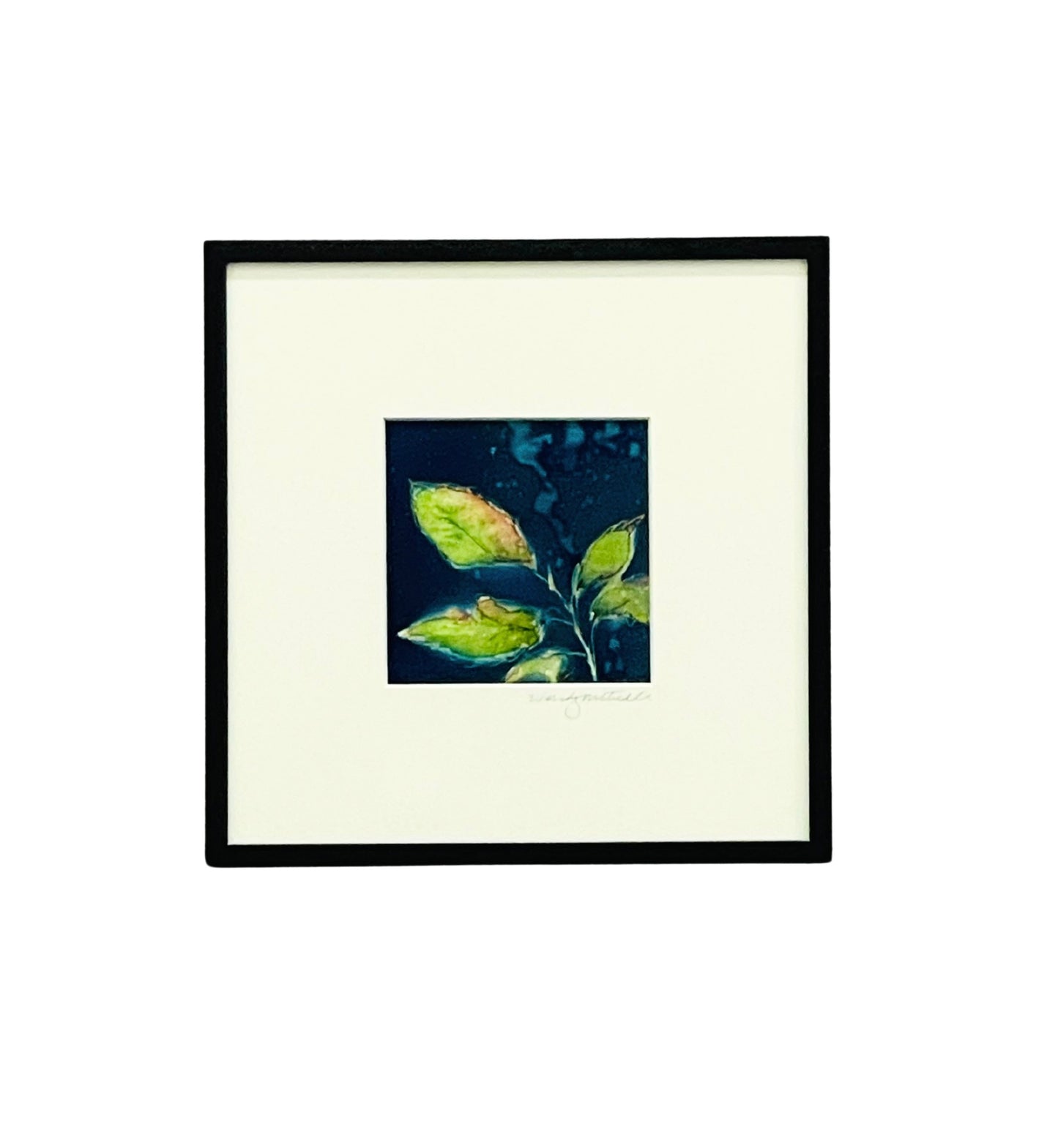 Framed mixed media cyanotype botanical. Wendy Mitchell Art, Salida CO