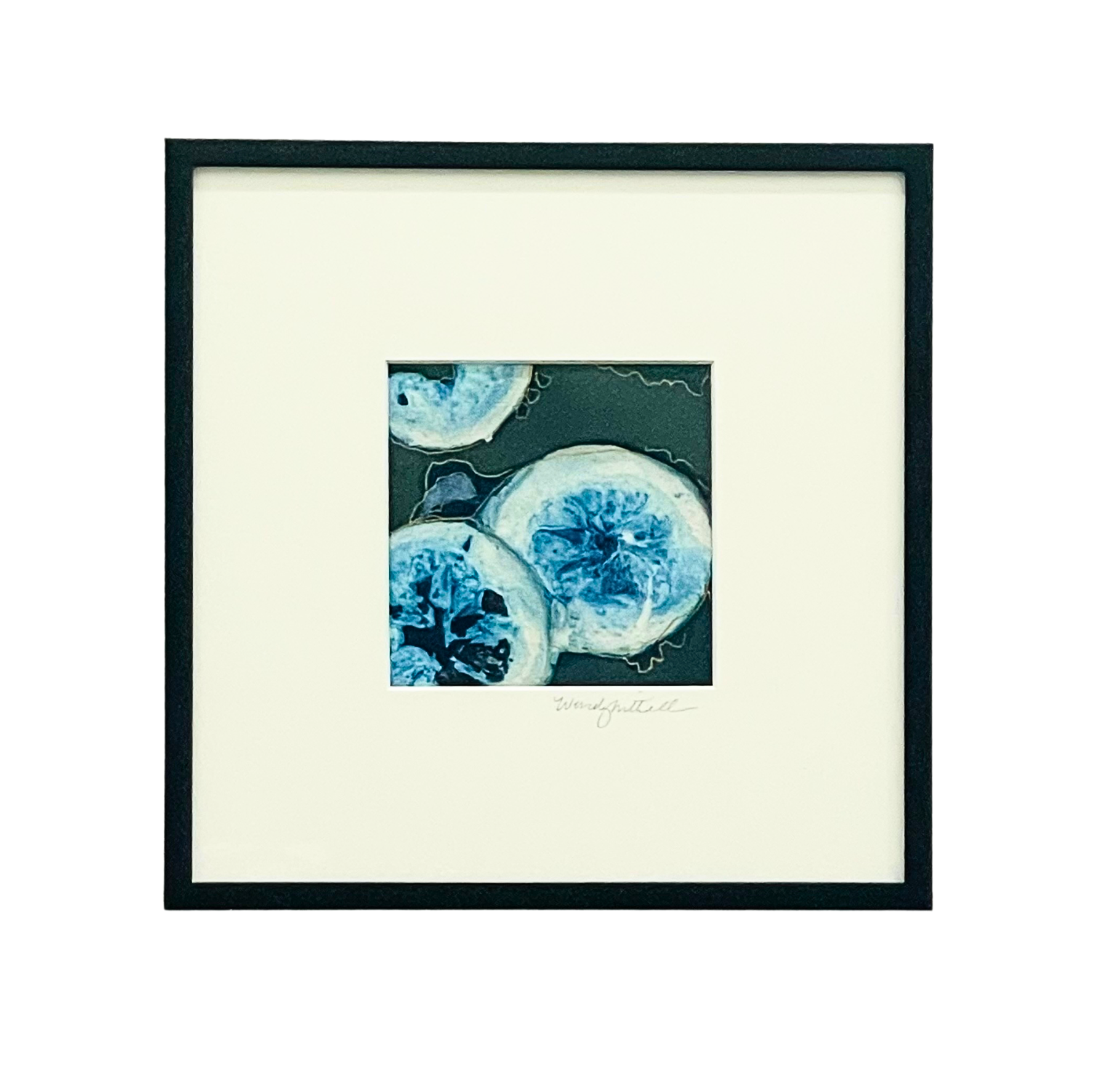 Original cynotype with gold pen
Wendy Mitchell Art
Salida, CO