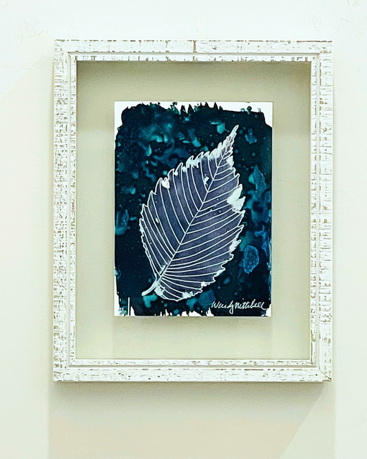 Framed mixed media cyanotype botanical. Wendy Mitchell Art, Salida CO