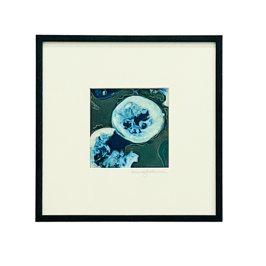 Original cynotype with gold pen
Wendy Mitchell Art
Salida, CO