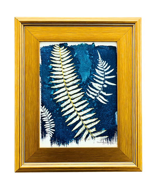 North Bend Ferns