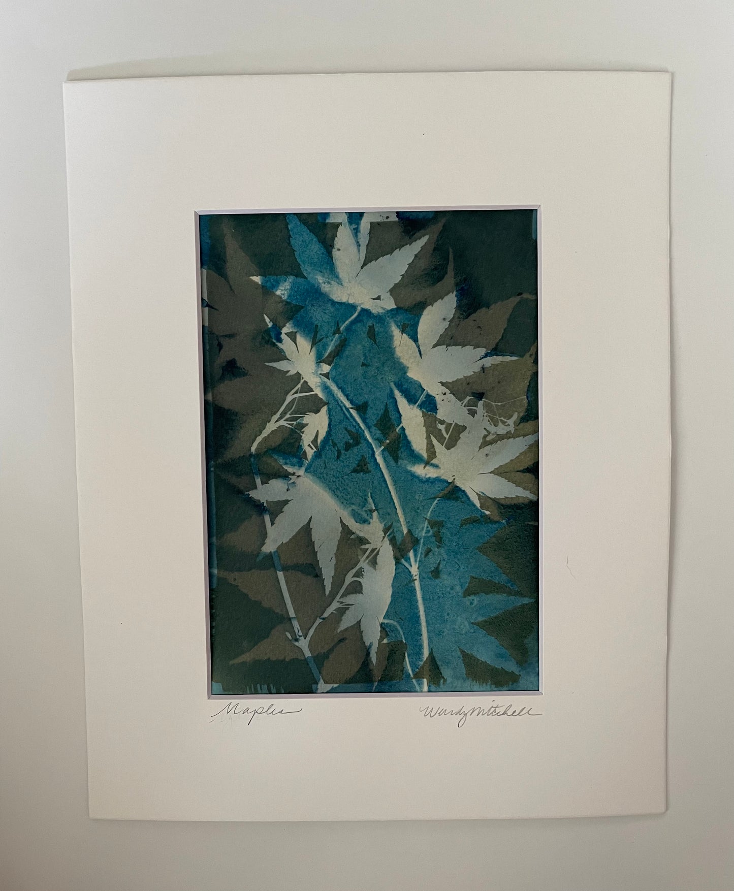 Blue and green Maples