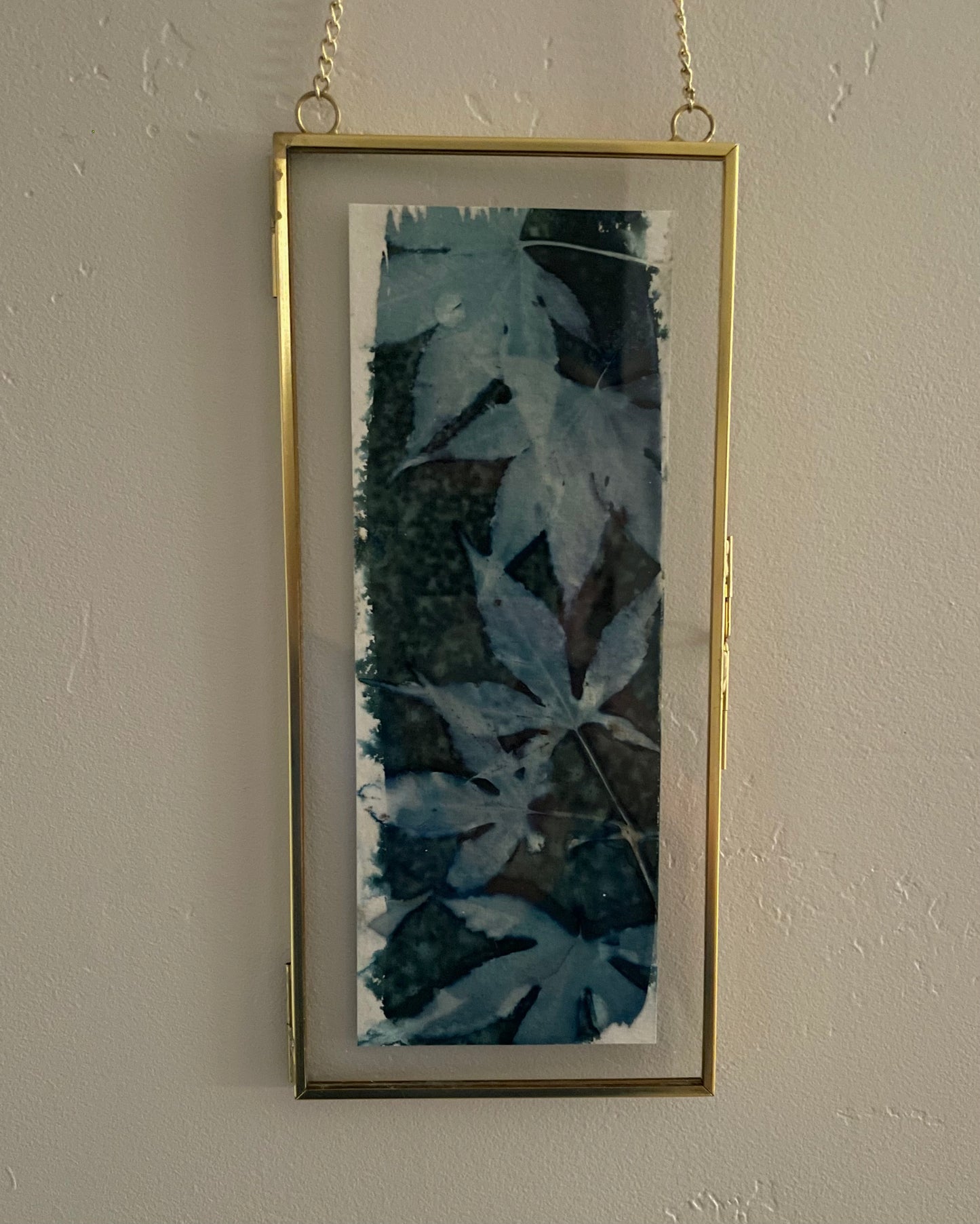 Japanese Maple Cyanotype