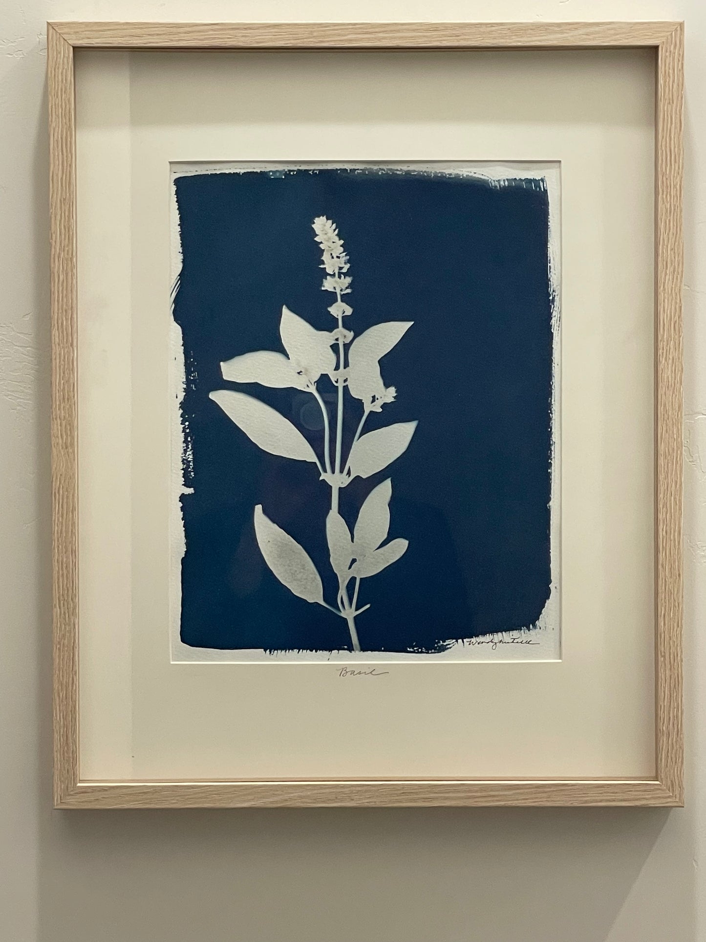 Basil