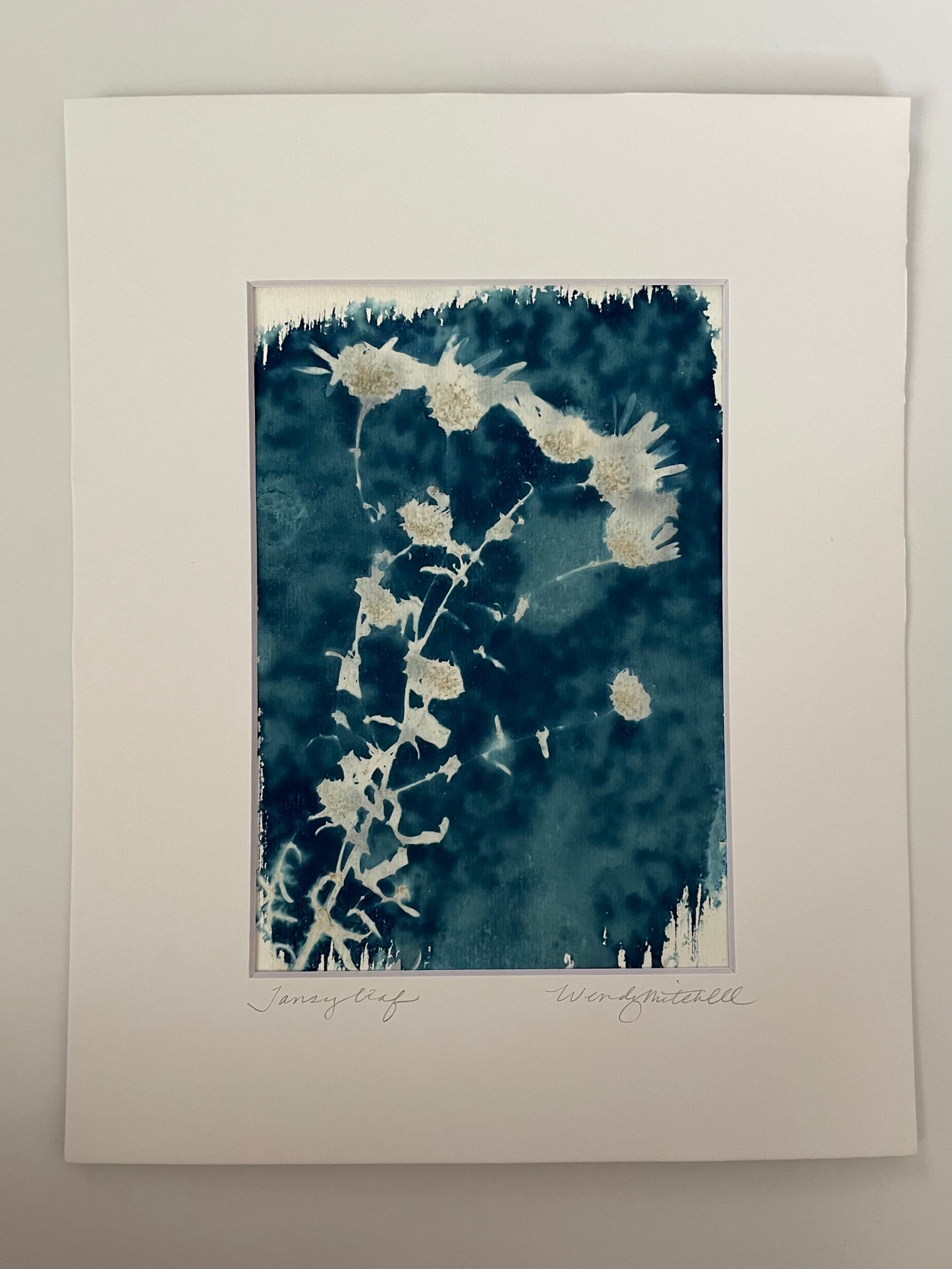Tansy Leaf 3