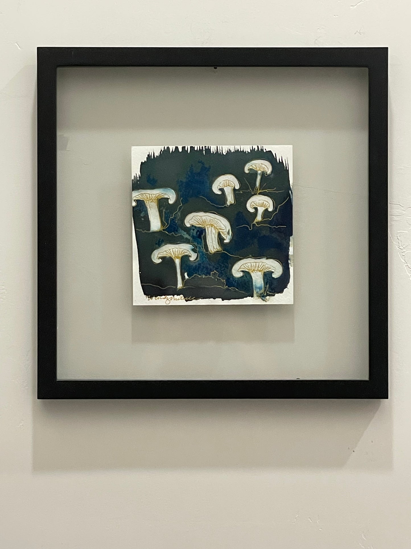 Shitake Mushrooms