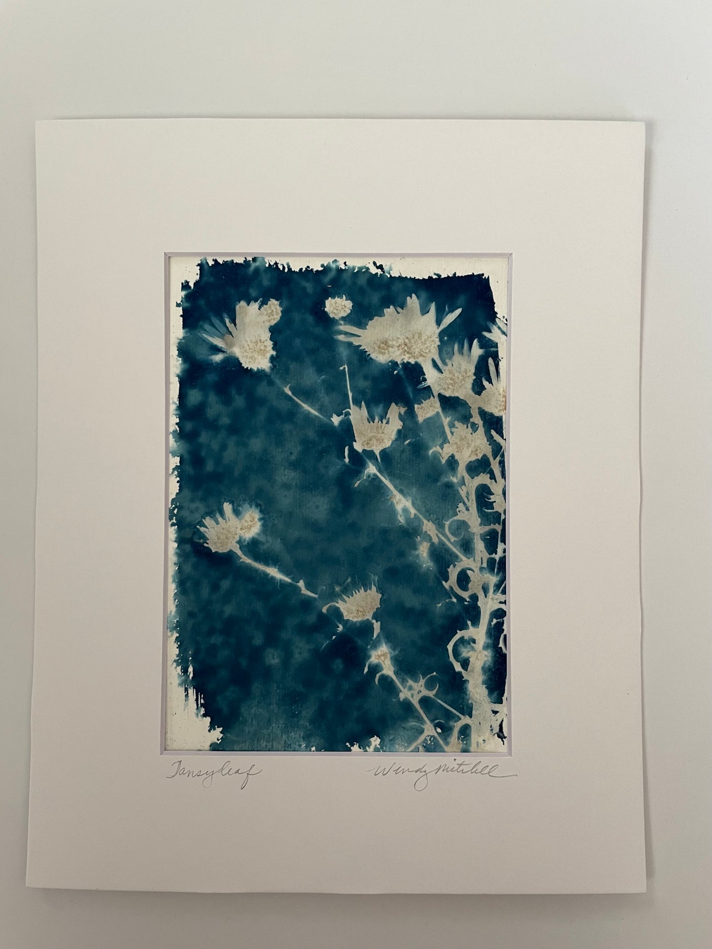 Tansy Leaf
