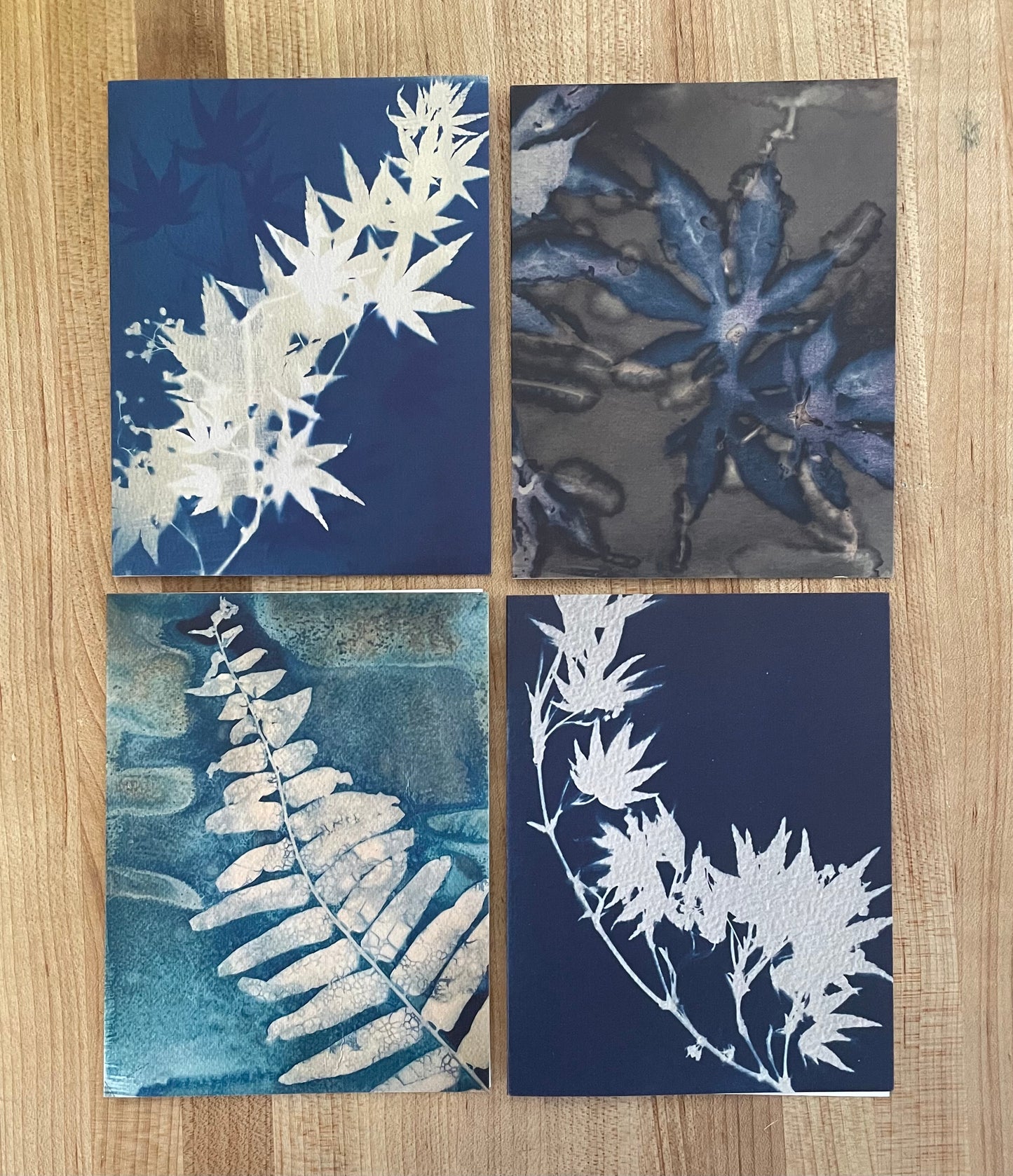 Maples & Fern Notecard Set