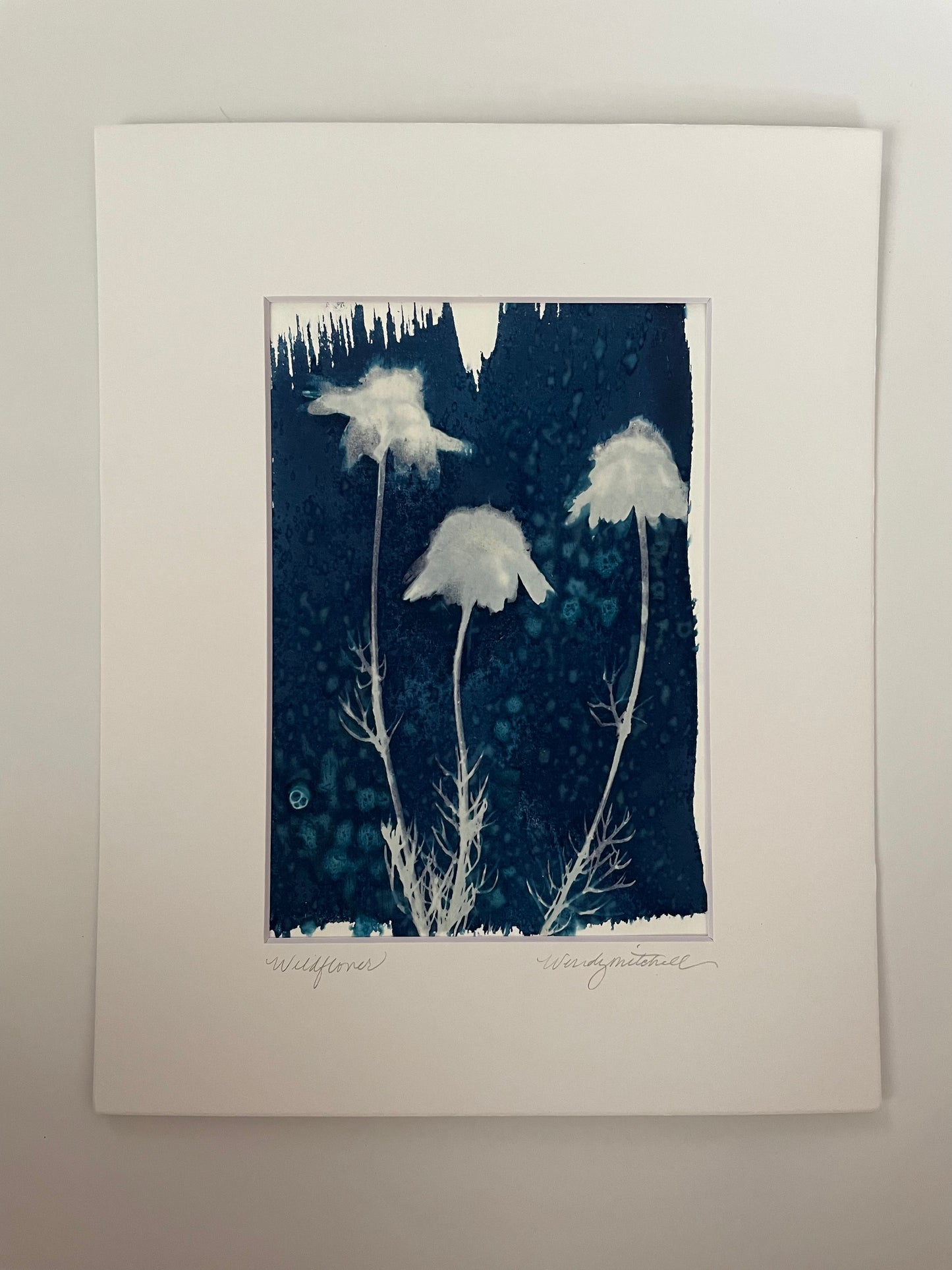 Wildflower 1