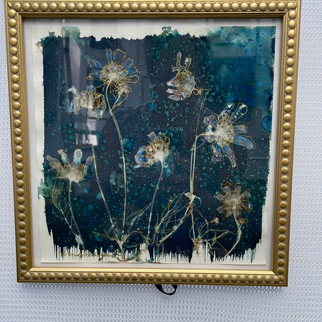 Sun Scorched Daisies