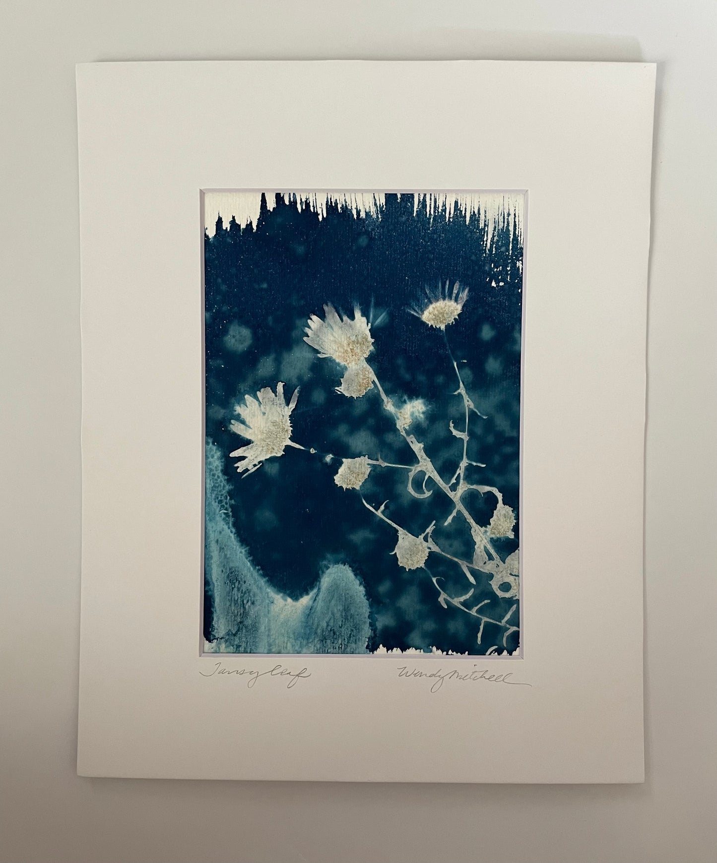Tansy Leaf 2