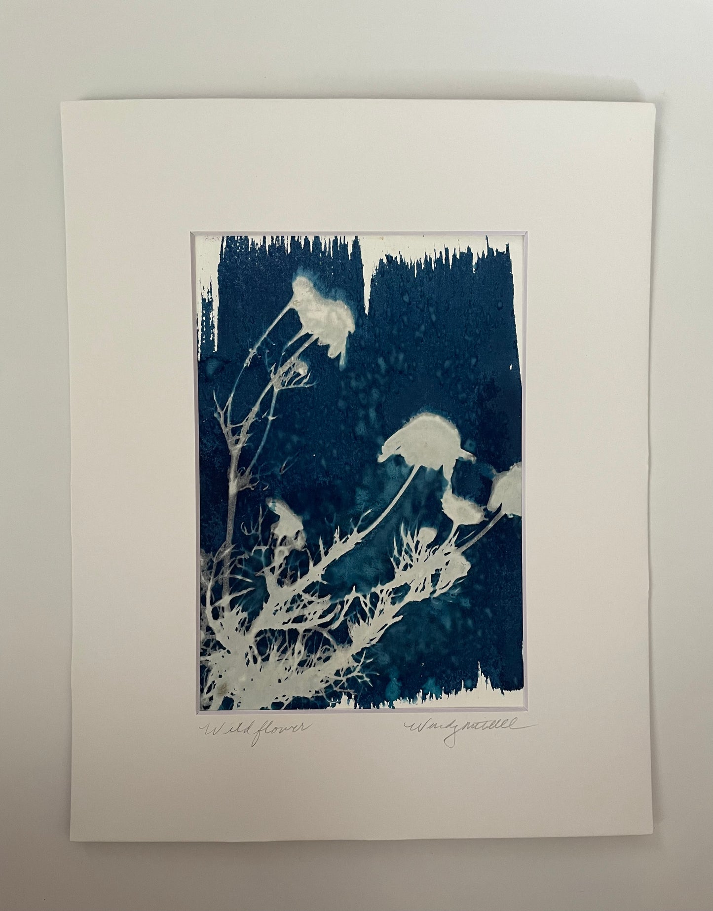 Wildflower 2