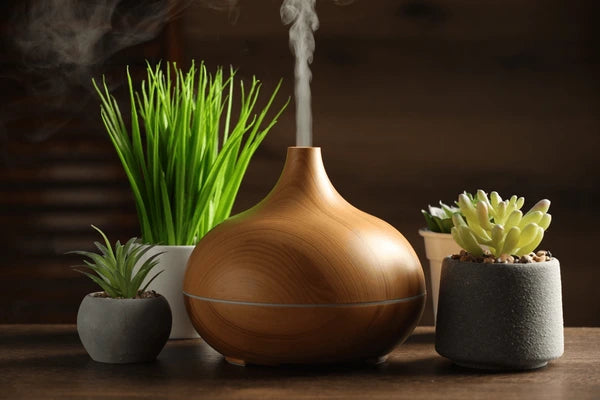 Serenity and the Scent of Home