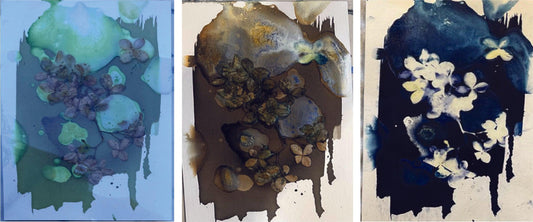 The Magic of Making Cyanotypes