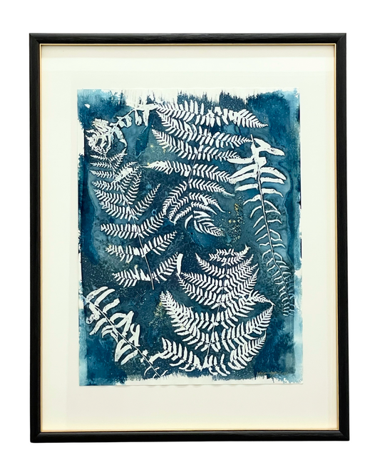 The Language of Ferns