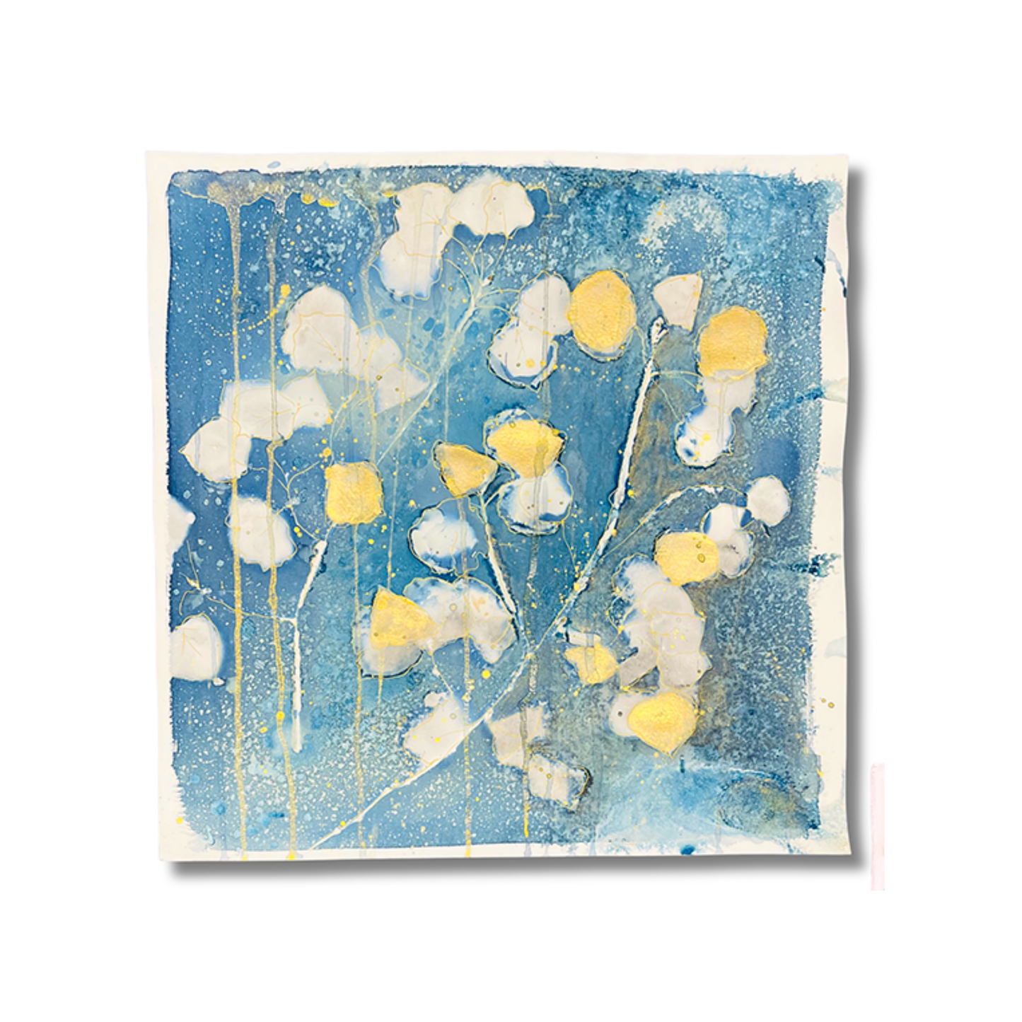 Rooted in the Rockies