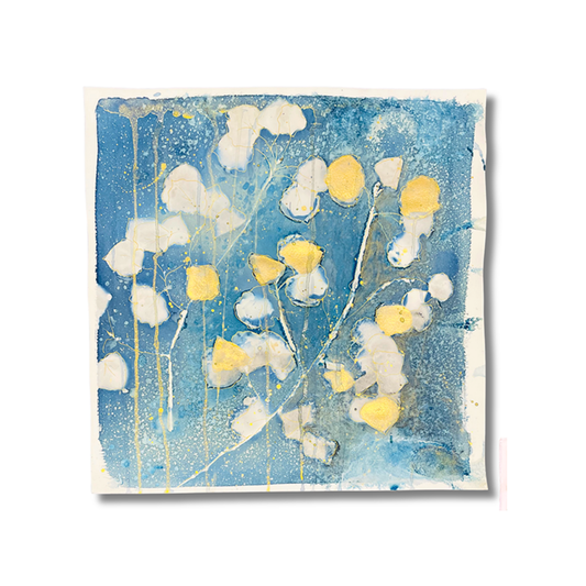 Rooted in the Rockies