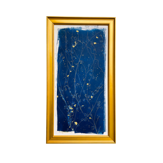 Stardust and Stems