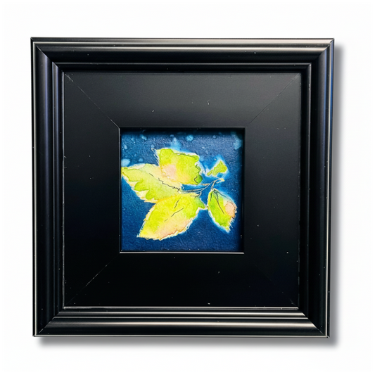 Light Through the Leaves