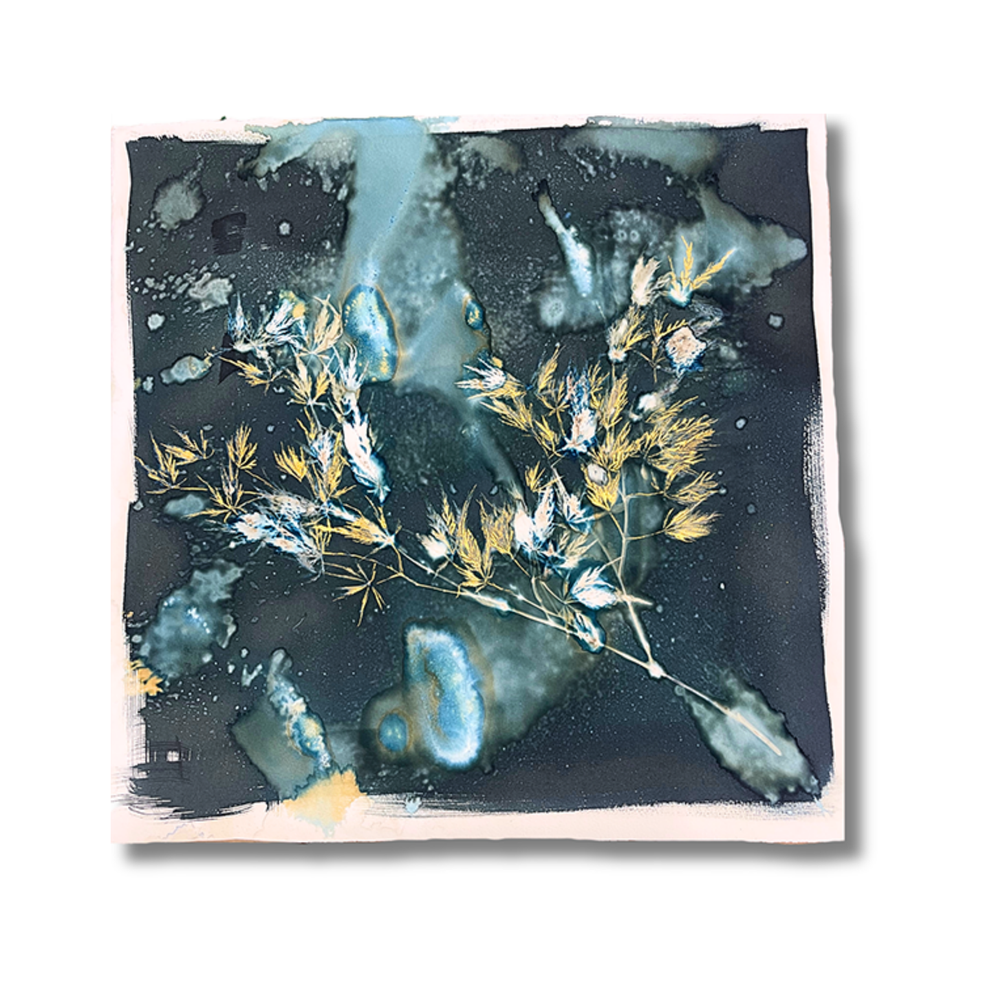 Where My Roots Began