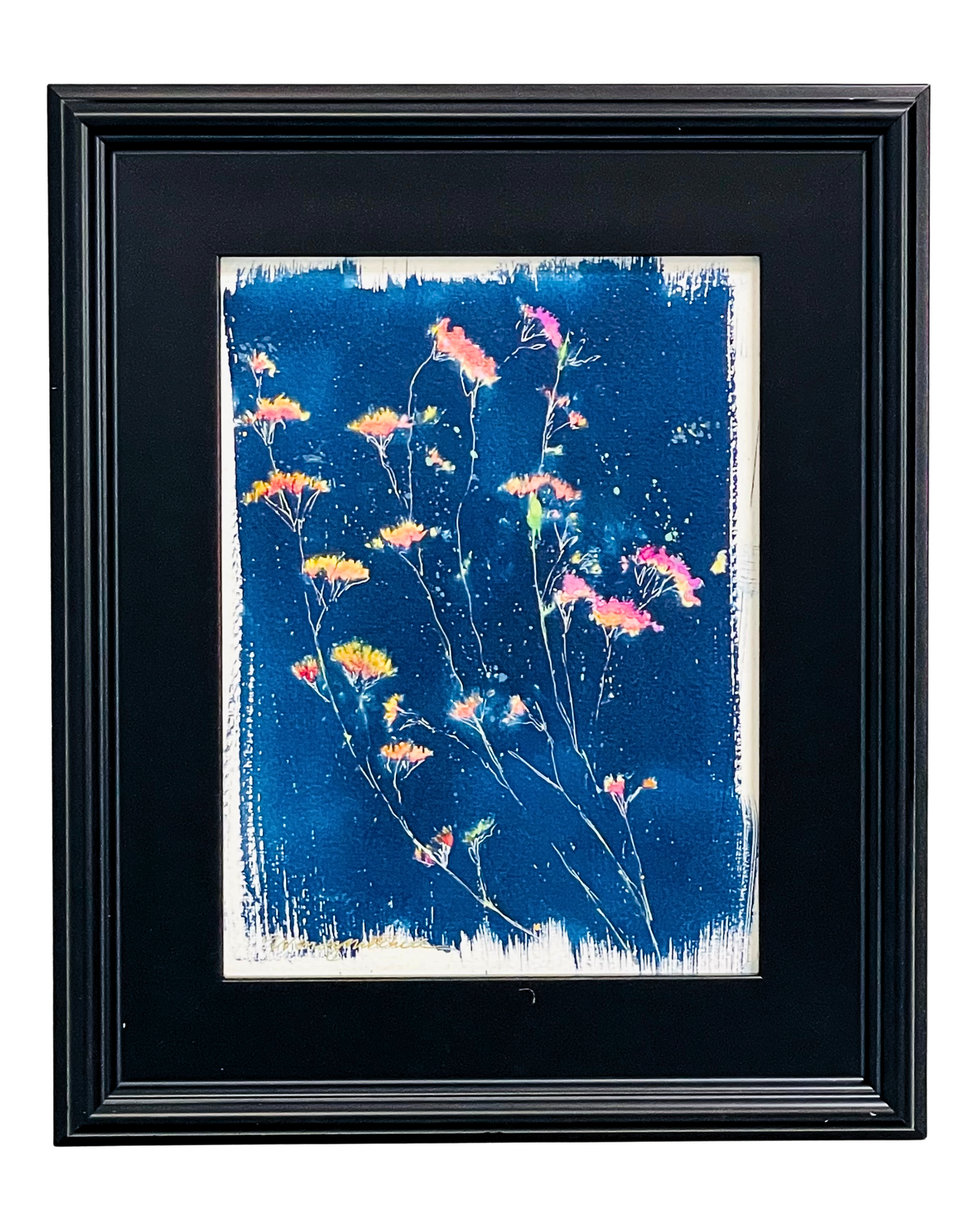 Wildflower Constellations