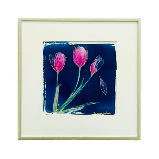Joie des Tulipes (Joy of Tulips)