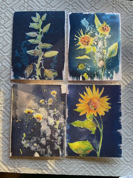 Colorado Sunflowers Notecards