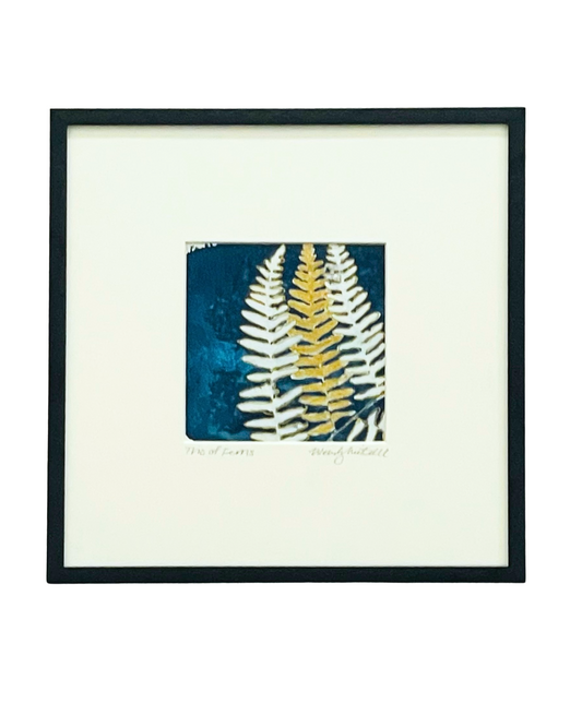 Trio of Ferns