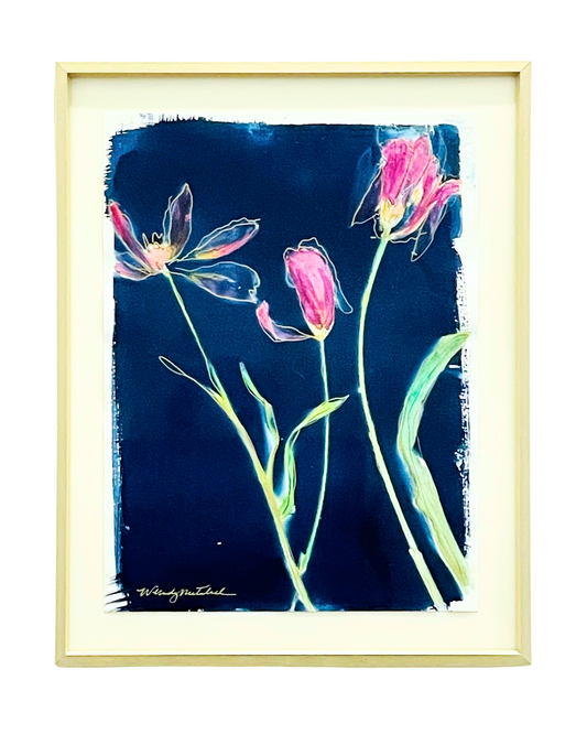 Baiser de Tulipes (Tulips kiss)