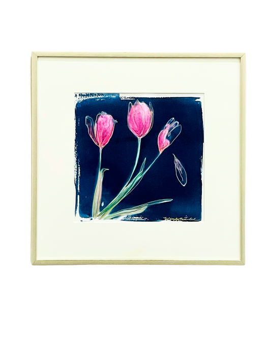 Joie des Tulipes (Joy of Tulips)