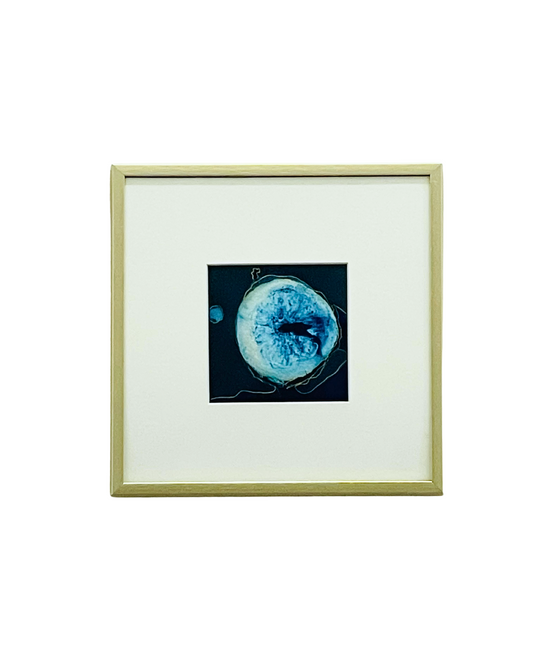 Framed mixed media cyanotype botanical. Wendy Mitchell Art, Salida CO