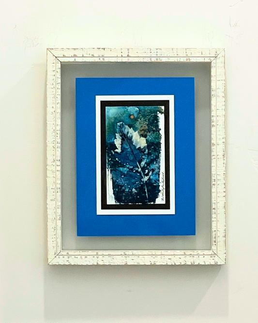 Framed mixed media cyanotype botanical. Wendy Mitchell Art, Salida CO