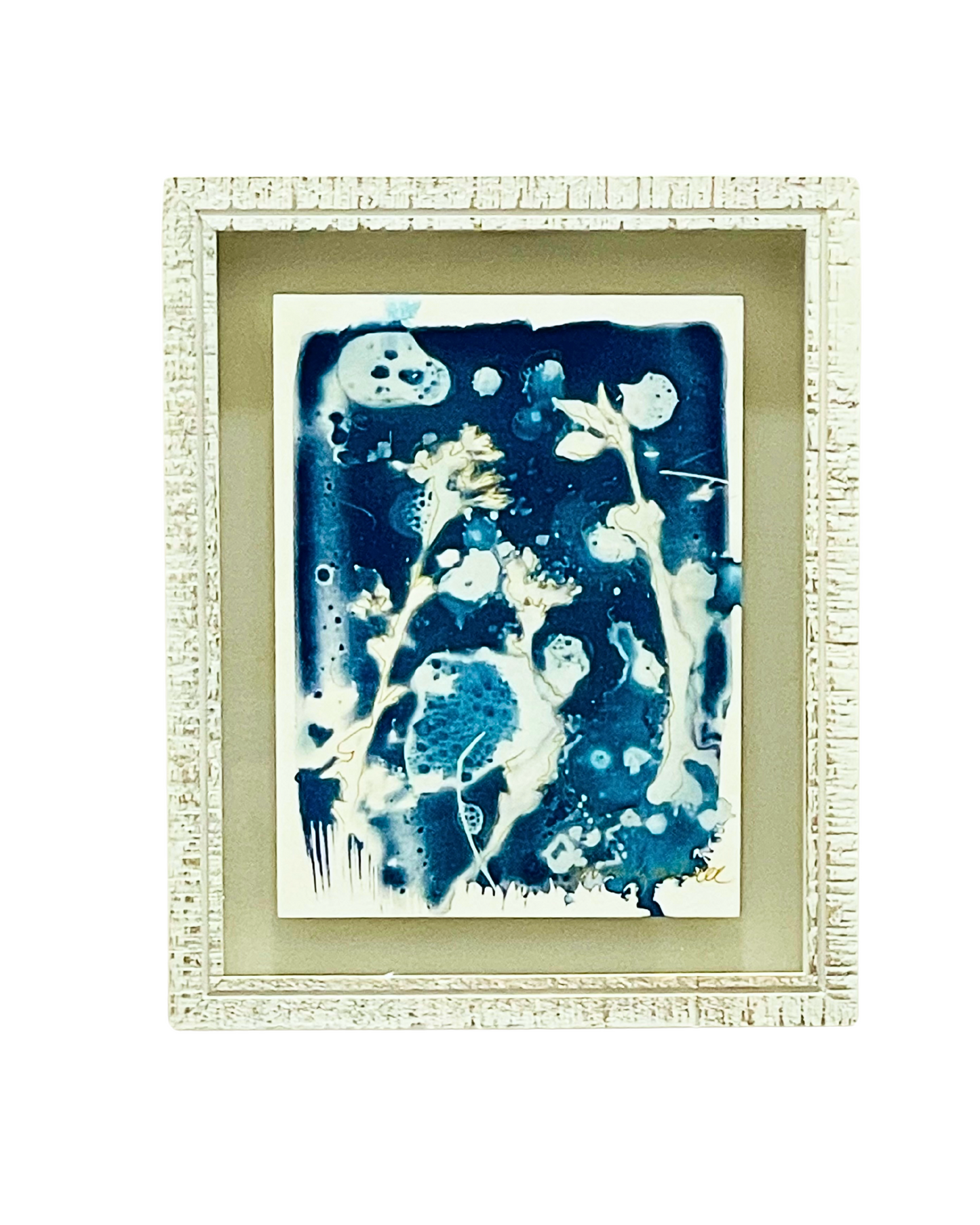 Framed mixed media cyanotype botanical. Wendy Mitchell Art, Salida CO