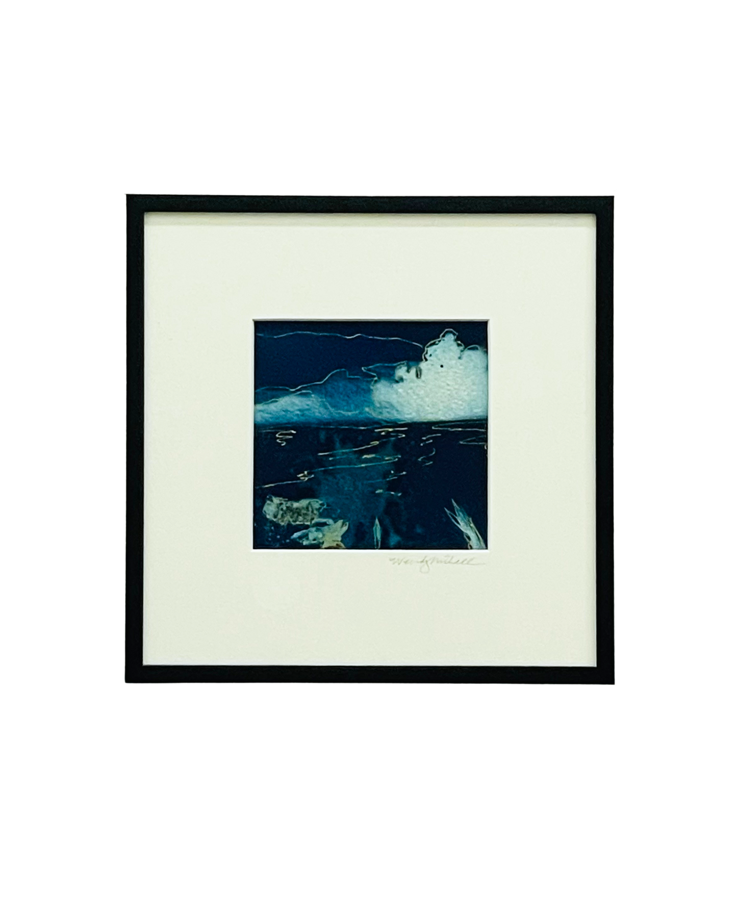 Framed mixed media cyanotype botanical. Wendy Mitchell Art, Salida CO