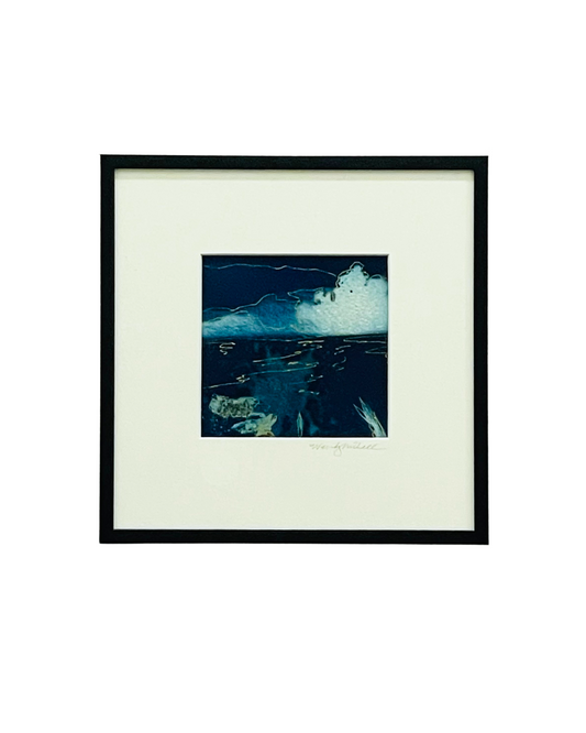 Framed mixed media cyanotype botanical. Wendy Mitchell Art, Salida CO